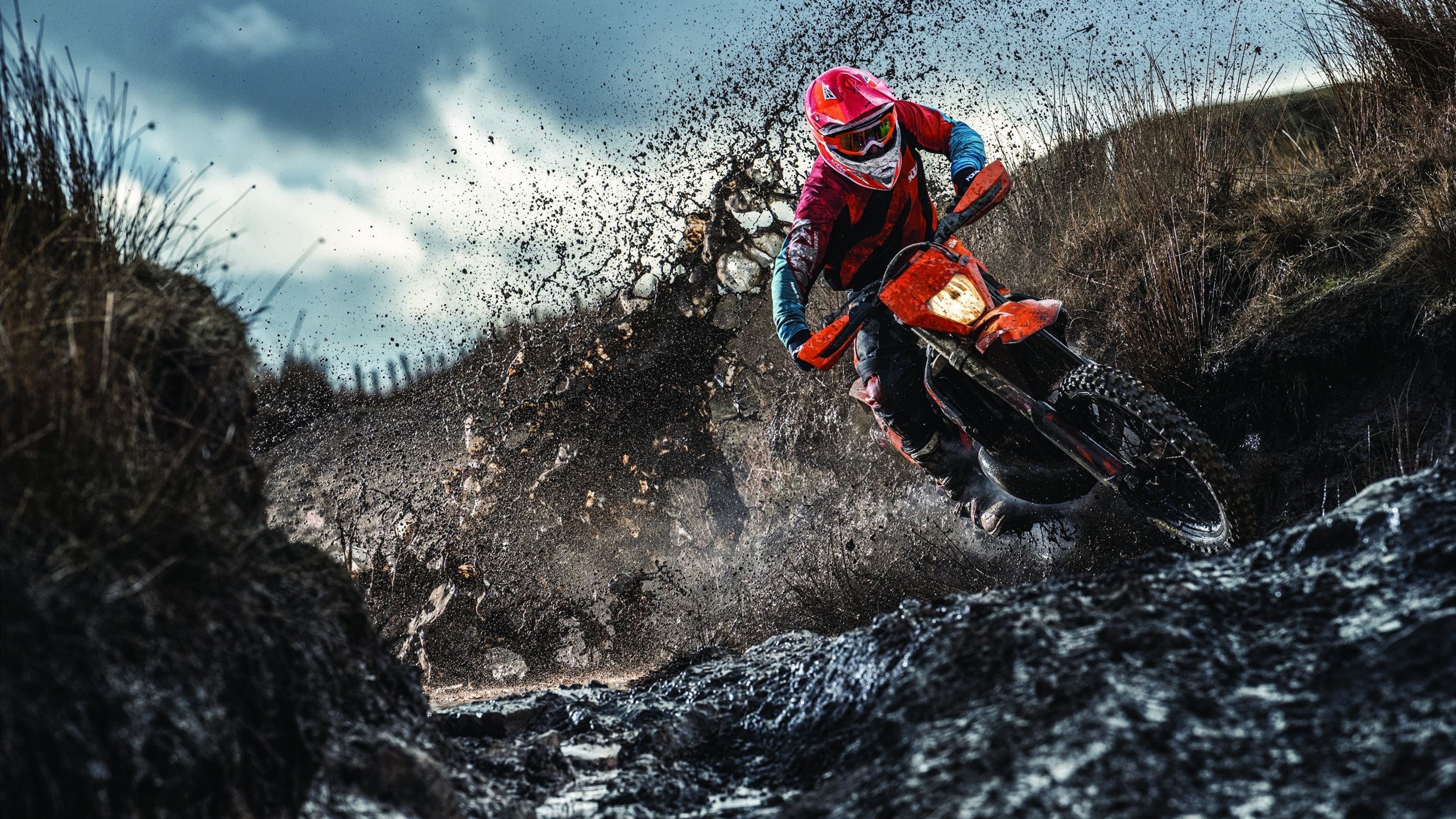 跨越东西的掌控者，从布伦森的欧冠接管到上海队的末节风暴